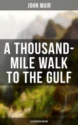 A THOUSAND-MILE WALK TO THE GULF (Illustrated Edition)