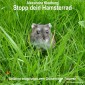 Stopp dein Hamsterrad