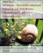 Bechterew - Spondylitis ankylosans behandeln mit Heilpflanzen (Phytotherapie) und Naturheilkunde