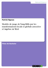 Modèle de jauge de Yang-Mills par les transformations locale et globale associées à l'algèbre de Weil