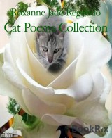 Cat Poems Collection