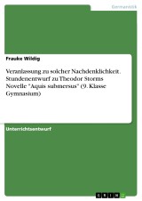 Veranlassung zu solcher Nachdenklichkeit. Stundenentwurf zu Theodor Storms Novelle 