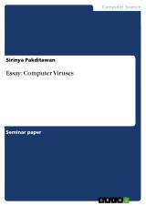 Essay: Computer Viruses