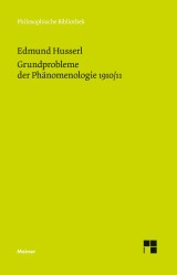 Grundprobleme der Phänomenologie (1910/1911)
