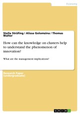 How can the knowledge on clusters help to understand the phenomenon of innovation?