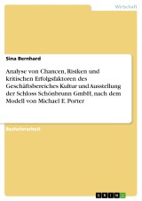 Analyse von Chancen, Risiken und kritischen Erfolgsfaktoren des Geschäftsbereiches Kultur und Ausstellung der Schloss Schönbrunn GmbH, nach dem Modell von Michael E. Porter