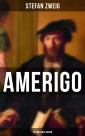 Amerigo: Historischer Roman