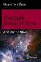 The Dark Arrow of Time