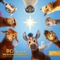 Bo und der Weihnachtsstern (Das Original-Hörspiel zum Kinofilm)
