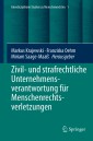 Zivil- und strafrechtliche Unternehmensverantwortung für Menschenrechtsverletzungen