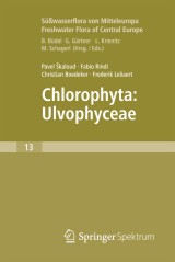 Freshwater Flora of Central Europe, Vol 13: Chlorophyta: Ulvophyceae (Süßwasserflora von Mitteleuropa,  Bd. 13: Chlorophyta: Ulvophyceae)