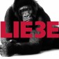 Hagen Rether, Liebe 3