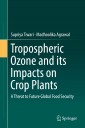 Tropospheric Ozone and its Impacts on Crop Plants