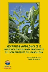 Descripción morfológica de 13 introducciones de maíz procedente del Departamento del Magdalena