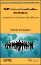 SME Internationalization Strategies