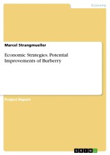 Economic Strategies. Potential Improvements of Burberry