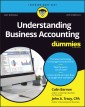 Understanding Business Accounting For Dummies - UK