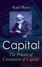 Capital: The Process of Circulation of Capital