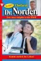 Chefarzt Dr. Norden 1117 - Arztroman