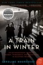 Train in Winter