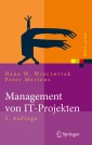 Management von IT-Projekten