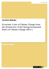 Economic Costs of Climate Change from the Perspective of the Intergovernmental Panel on Climate Change (IPCC)
