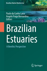 Brazilian Estuaries