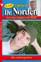 Chefarzt Dr. Norden 1119 - Arztroman