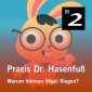 Praxis Dr. Hasenfuß: Warum können Vögel fliegen?