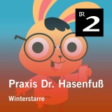 Praxis Dr. Hasenfuß: Winterstarre