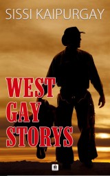 West Gay Storys