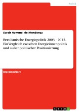 Brasilianische Energiepolitik 2003 - 2013. Ein Vergleich zwischen Energieinnenpolitik und außenpolitischer Positionierung