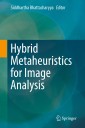 Hybrid Metaheuristics for Image Analysis