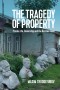 The Tragedy of Property