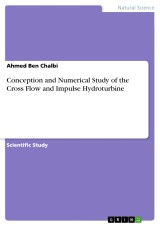 Conception and Numerical Study of the Cross Flow and Impulse Hydroturbine