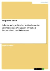 Arbeitsmarktpolitische Maßnahmen im internationalen Vergleich zwischen Deutschland und Dänemark