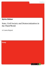 State, Civil Society and Democratization in the Third World