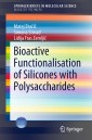 Bioactive Functionalisation of Silicones with Polysaccharides