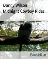 Midnight Cowboy Rides...
