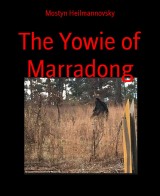 The Yowie of Marradong