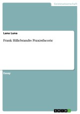 Frank Hillebrandts Praxistheorie