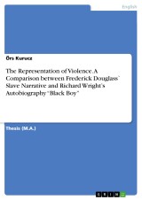 The Representation of Violence. A Comparison between Frederick Douglass` Slave Narrative and Richard Wright's Autobiography “Black Boy”
