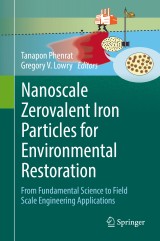 Nanoscale Zerovalent Iron Particles for Environmental Restoration