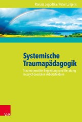 Systemische Traumapädagogik