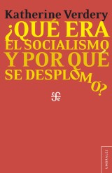 ¿Qué era el socialismo y por qué se desplomó?