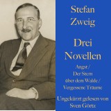 Stefan Zweig: Drei Novellen.