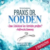 Praxis Dr. Norden 2 Hörbücher Nr. 3 - Arztroman