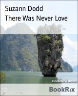 There Was Never Love