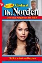 Chefarzt Dr. Norden 1148 - Arztroman