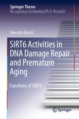 SIRT6 Activities in DNA Damage Repair and Premature Aging